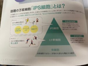 iPS細胞培養上清液配合　JCMBシルキースキンブースターセラム　https://www.ankh-jp.com/ankh-menu-blog/10ankh-merumaga/10858/