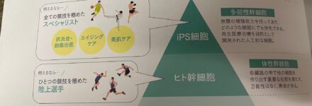 iPS細胞培養上清液配合　JCMBシルキースキンブースターセラム